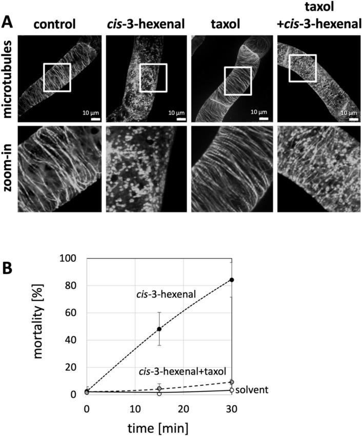 https://cdn.ncbi.nlm.nih.gov/pmc/blobs/39dd/12310787/8db59c15d90a/299_2025_3567_Fig5_HTML.jpg