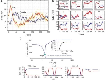 https://cdn.ncbi.nlm.nih.gov/pmc/blobs/39e3/2387235/0c1b83b0826c/msb200824-f2.jpg