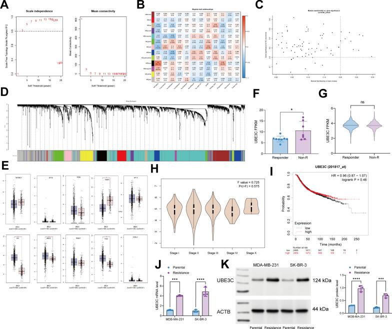 https://cdn.ncbi.nlm.nih.gov/pmc/blobs/39e4/10182610/5df849ccca3a/12967_2023_4153_Fig1_HTML.jpg