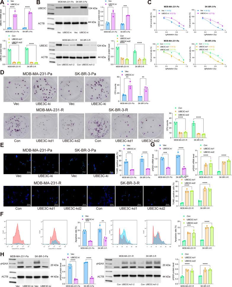 https://cdn.ncbi.nlm.nih.gov/pmc/blobs/39e4/10182610/acd97d9a6c06/12967_2023_4153_Fig2_HTML.jpg