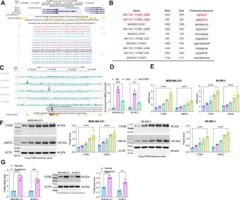 https://cdn.ncbi.nlm.nih.gov/pmc/blobs/39e4/10182610/af09fb443f5d/12967_2023_4153_Fig6_HTML.jpg