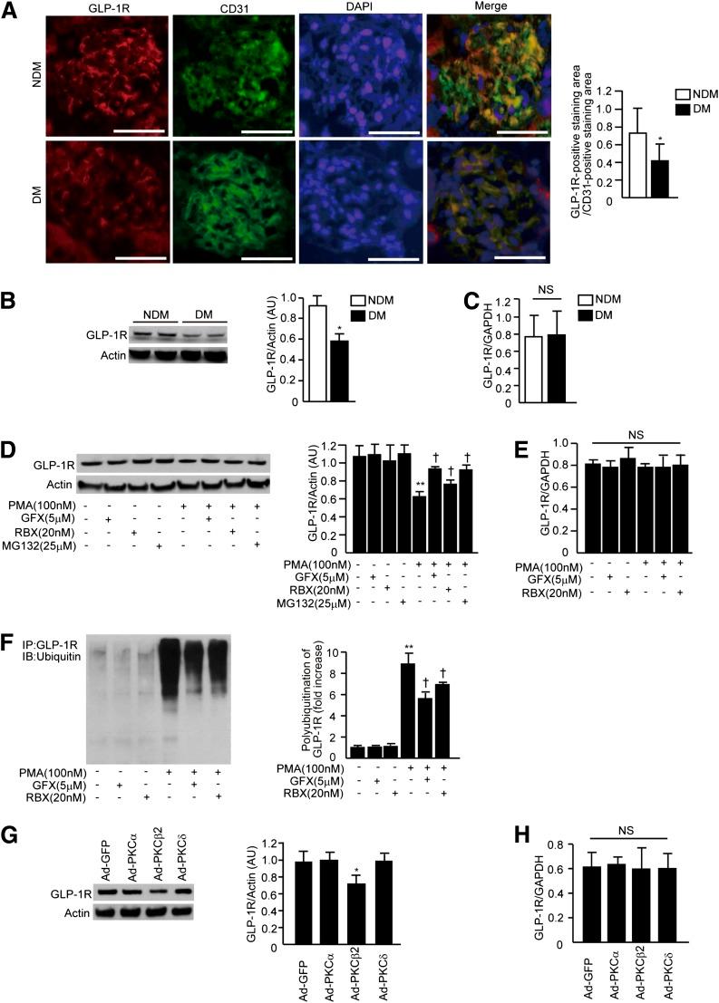 https://cdn.ncbi.nlm.nih.gov/pmc/blobs/39e4/3478518/bc3351d0d452/2967fig1.jpg