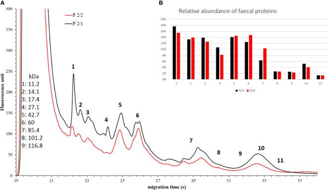 https://cdn.ncbi.nlm.nih.gov/pmc/blobs/39e4/9899802/bf029000360f/fcimb-13-1041384-g007.jpg
