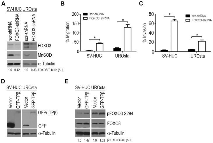 https://cdn.ncbi.nlm.nih.gov/pmc/blobs/39e8/4159332/29e67a29f1bb/pone.0107530.g001.jpg