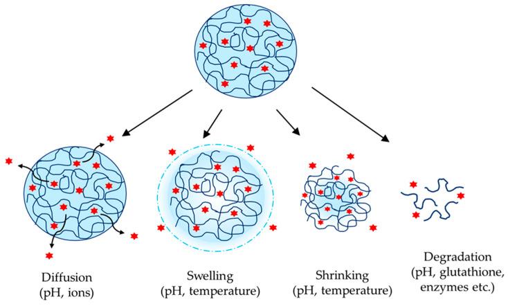 https://cdn.ncbi.nlm.nih.gov/pmc/blobs/39ea/11854394/21a008b9c0ef/gels-11-00124-g003.jpg