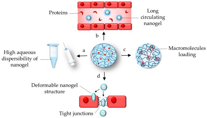 https://cdn.ncbi.nlm.nih.gov/pmc/blobs/39ea/11854394/70caf82fa9f2/gels-11-00124-g002.jpg