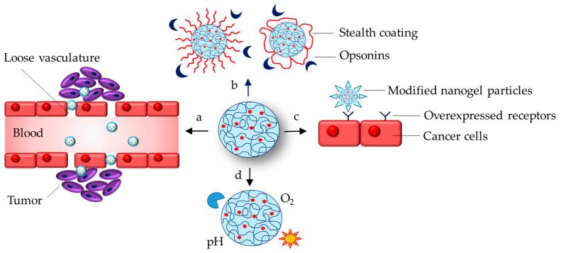 https://cdn.ncbi.nlm.nih.gov/pmc/blobs/39ea/11854394/eb6a4d5d75a9/gels-11-00124-g001.jpg