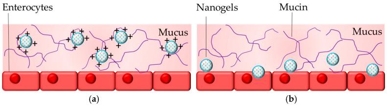 https://cdn.ncbi.nlm.nih.gov/pmc/blobs/39ea/11854394/f1363e63b7f9/gels-11-00124-g005.jpg