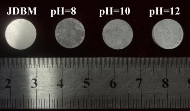 https://cdn.ncbi.nlm.nih.gov/pmc/blobs/39ea/12037841/a90bcfa83d04/41598_2025_98555_Fig3_HTML.jpg