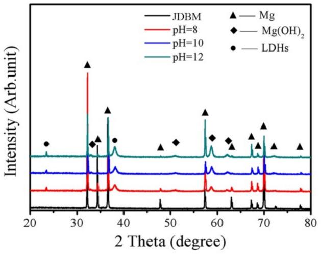 https://cdn.ncbi.nlm.nih.gov/pmc/blobs/39ea/12037841/bacb28fca529/41598_2025_98555_Fig6_HTML.jpg