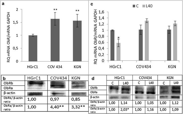 https://cdn.ncbi.nlm.nih.gov/pmc/blobs/39ea/5608790/2ca8f93c2a97/280_2017_3423_Fig1_HTML.jpg