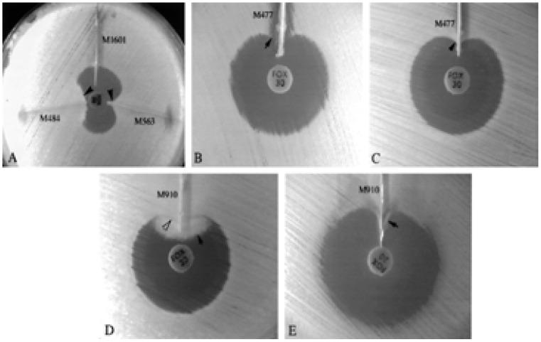 https://cdn.ncbi.nlm.nih.gov/pmc/blobs/39eb/7751514/71451fa36e41/AFHS2003-1090Fig8.jpg