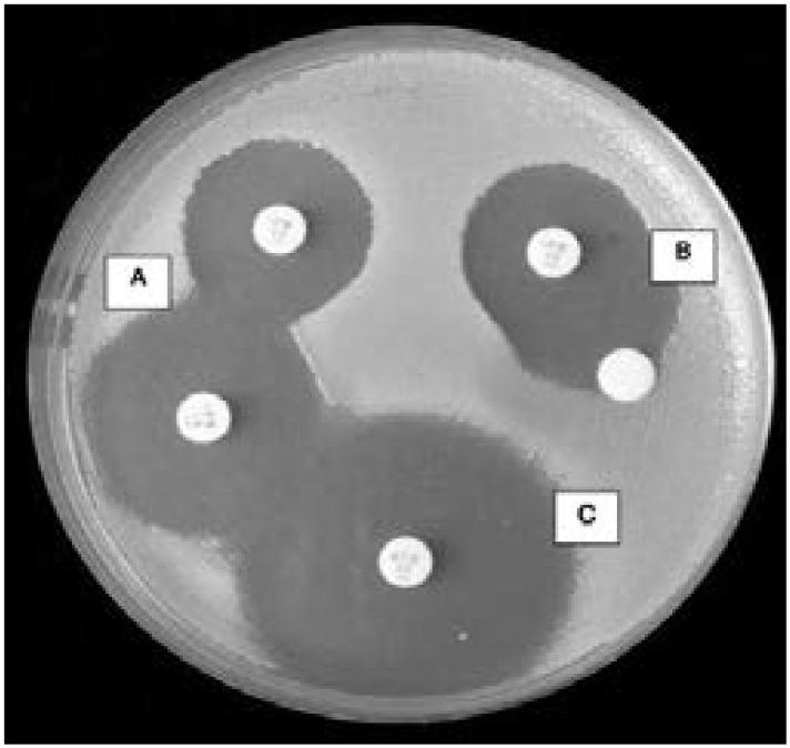 https://cdn.ncbi.nlm.nih.gov/pmc/blobs/39eb/7751514/7c9996260356/AFHS2003-1090Fig11.jpg