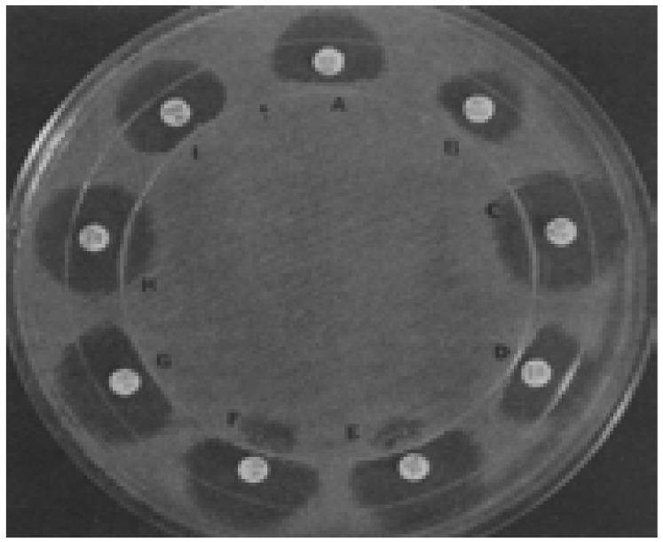 https://cdn.ncbi.nlm.nih.gov/pmc/blobs/39eb/7751514/8e1573226181/AFHS2003-1090Fig6.jpg