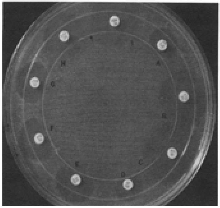 https://cdn.ncbi.nlm.nih.gov/pmc/blobs/39eb/7751514/e298c3a30add/AFHS2003-1090Fig4.jpg