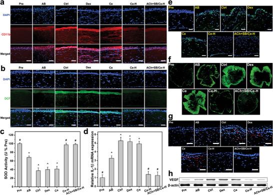 https://cdn.ncbi.nlm.nih.gov/pmc/blobs/39ec/10502830/2135aeda9915/ADVS-10-2302174-g002.jpg