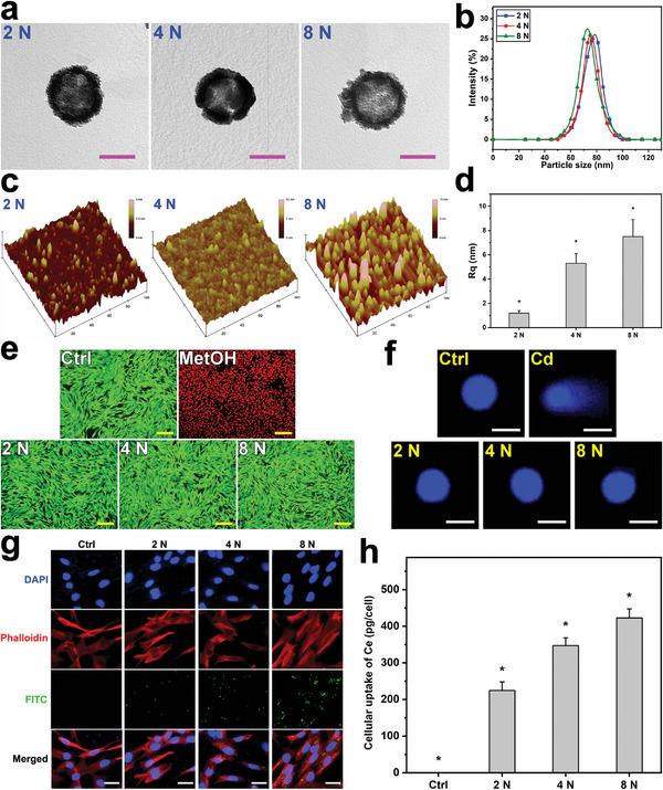 https://cdn.ncbi.nlm.nih.gov/pmc/blobs/39ec/10502830/5e7cb9a322d2/ADVS-10-2302174-g003.jpg