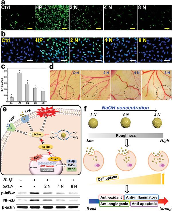 https://cdn.ncbi.nlm.nih.gov/pmc/blobs/39ec/10502830/903de20ed7b6/ADVS-10-2302174-g007.jpg