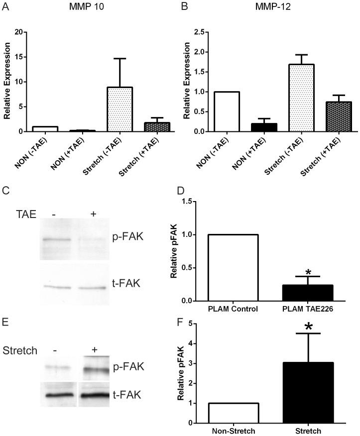 https://cdn.ncbi.nlm.nih.gov/pmc/blobs/39ed/4051676/2e2d19f5df20/pone.0099083.g006.jpg
