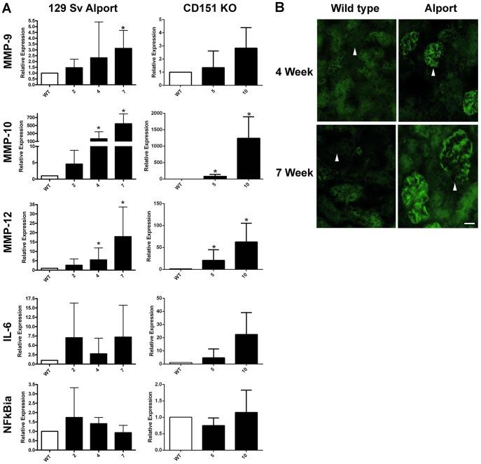 https://cdn.ncbi.nlm.nih.gov/pmc/blobs/39ed/4051676/569f70e91e55/pone.0099083.g004.jpg