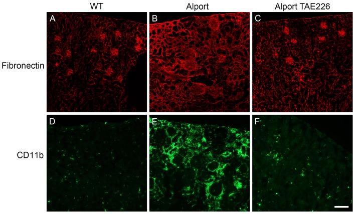 https://cdn.ncbi.nlm.nih.gov/pmc/blobs/39ed/4051676/939871081317/pone.0099083.g010.jpg