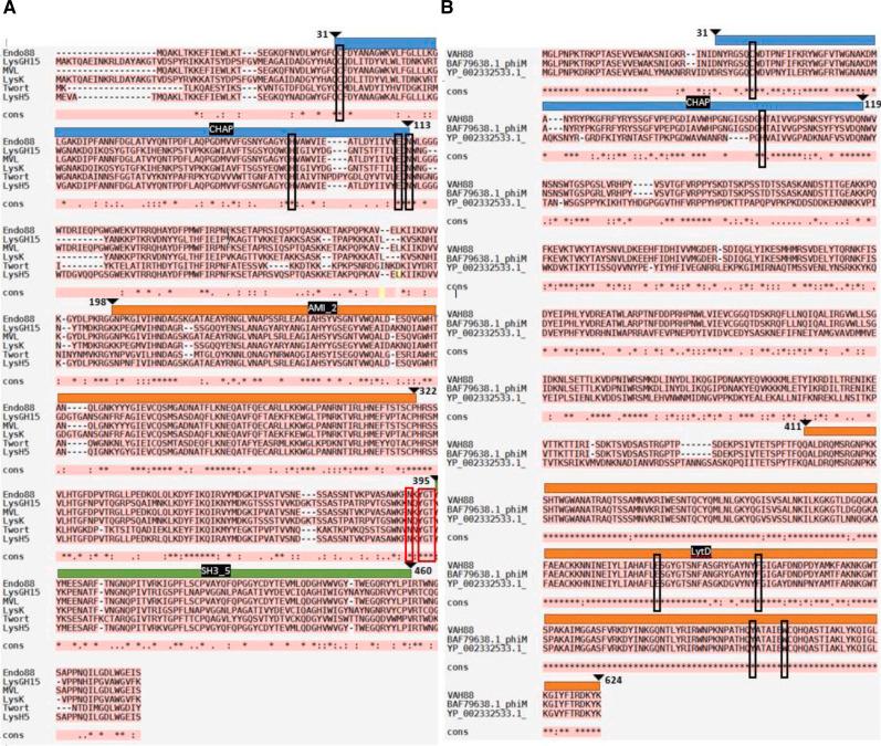 https://cdn.ncbi.nlm.nih.gov/pmc/blobs/39ef/8896023/95a30dac1454/peerj-10-12648-g001.jpg