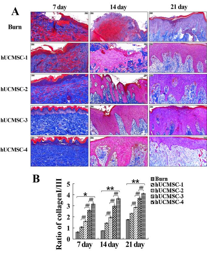 https://cdn.ncbi.nlm.nih.gov/pmc/blobs/39f0/11575178/92f714aee9b9/13287_2024_4063_Fig5_HTML.jpg