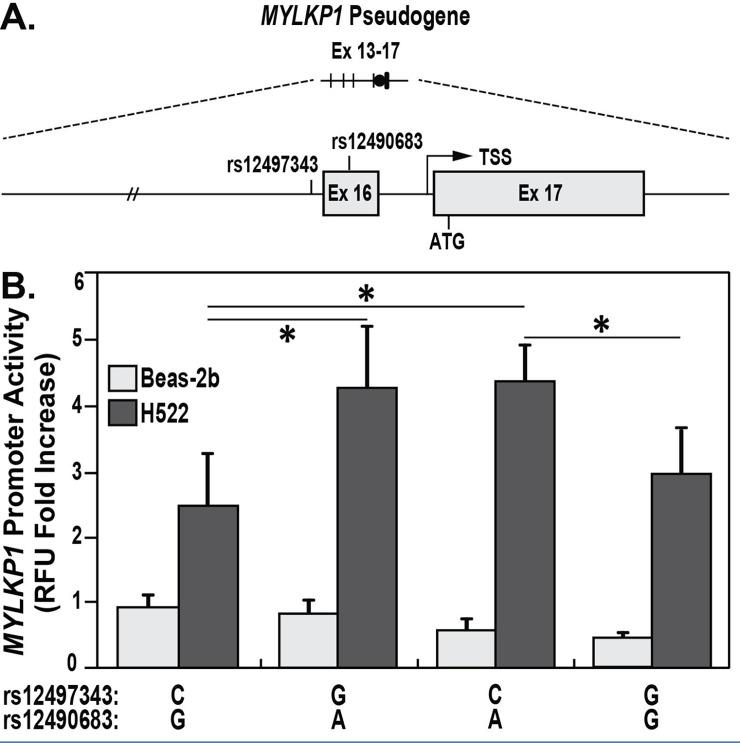 https://cdn.ncbi.nlm.nih.gov/pmc/blobs/39f0/6116948/898cc45ff183/pone.0200916.g003.jpg