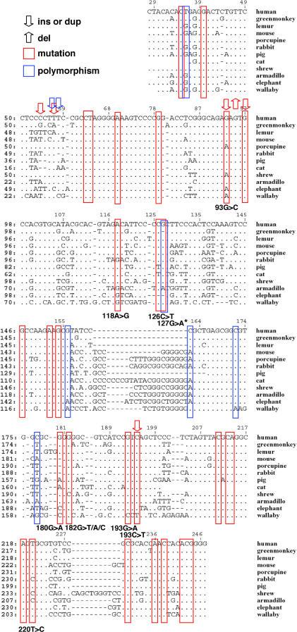 https://cdn.ncbi.nlm.nih.gov/pmc/blobs/39f2/1270005/9a06537c4b7d/pgen.0010047.g002.jpg