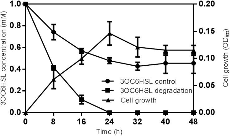 https://cdn.ncbi.nlm.nih.gov/pmc/blobs/39f3/7227377/961ae2e8bad6/fmicb-11-00898-g002.jpg