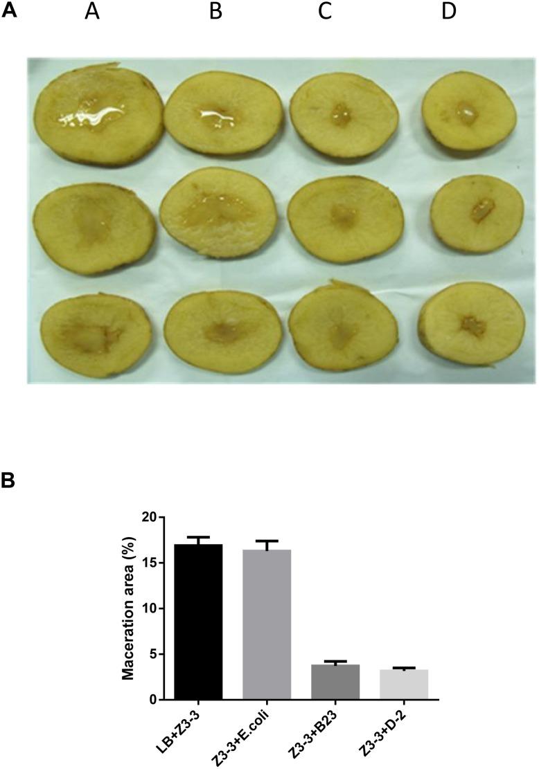 https://cdn.ncbi.nlm.nih.gov/pmc/blobs/39f3/7227377/c5990a15708b/fmicb-11-00898-g004.jpg