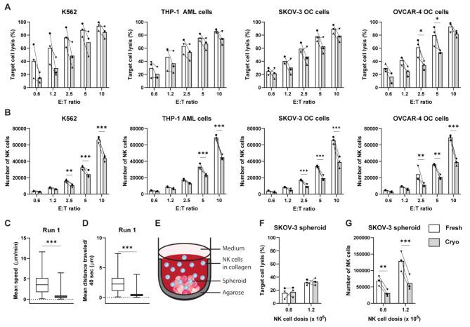 https://cdn.ncbi.nlm.nih.gov/pmc/blobs/39f6/12104124/761020d9e3cd/18_2025_5727_Fig3_HTML.jpg