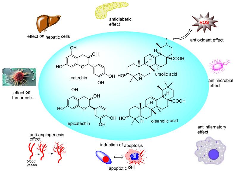 https://cdn.ncbi.nlm.nih.gov/pmc/blobs/39f6/7700580/048ed6172314/molecules-25-05468-g009.jpg