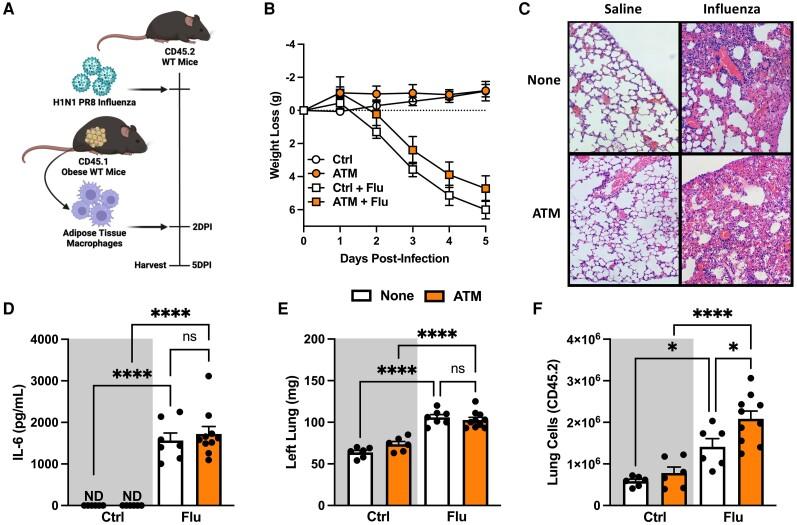 https://cdn.ncbi.nlm.nih.gov/pmc/blobs/39f7/11841630/0bdaf8ff4698/jiae535f6.jpg