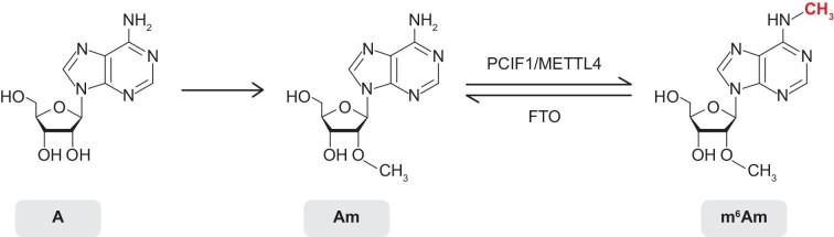 https://cdn.ncbi.nlm.nih.gov/pmc/blobs/39f9/11345611/dc0112899900/mjae012fig1.jpg