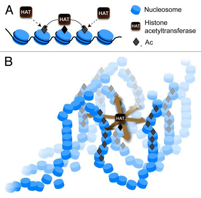https://cdn.ncbi.nlm.nih.gov/pmc/blobs/39f9/4063823/80559ba40aac/epi-9-653-g2.jpg