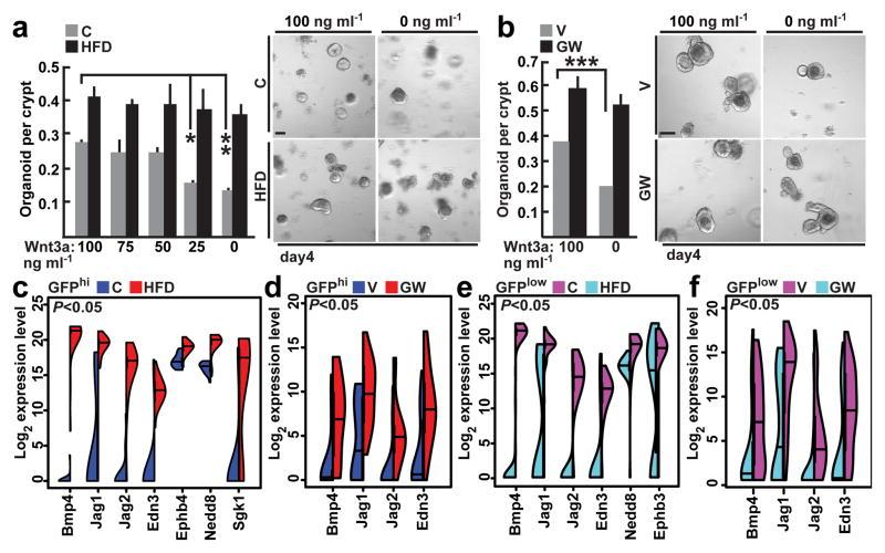 https://cdn.ncbi.nlm.nih.gov/pmc/blobs/39f9/4846772/f4563db9edc3/nihms755851f4.jpg