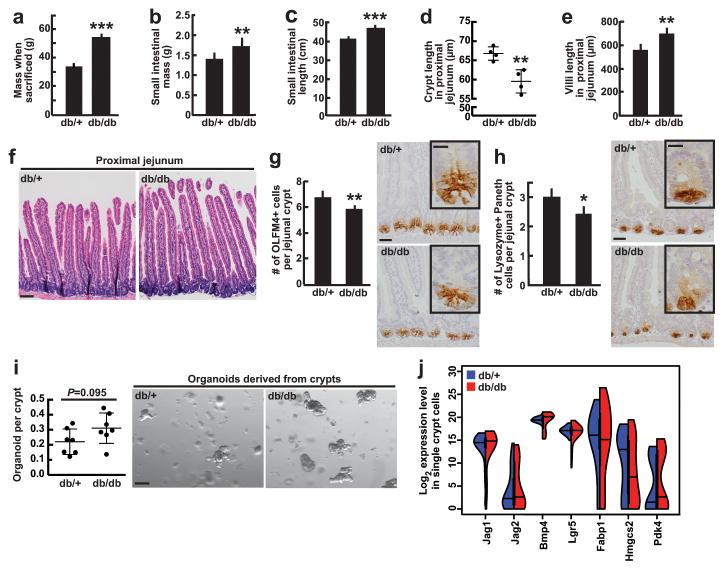 https://cdn.ncbi.nlm.nih.gov/pmc/blobs/39f9/4846772/f9dca9c94bae/nihms755851f14.jpg