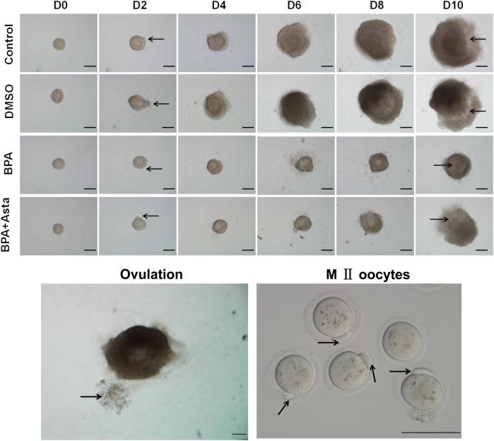 https://cdn.ncbi.nlm.nih.gov/pmc/blobs/39f9/9098901/370887197b4f/41598_2022_11566_Fig1_HTML.jpg