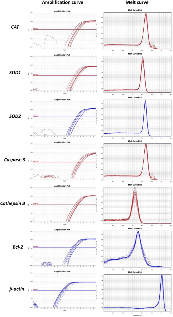 https://cdn.ncbi.nlm.nih.gov/pmc/blobs/39f9/9098901/4f6498306ce9/41598_2022_11566_Fig8_HTML.jpg