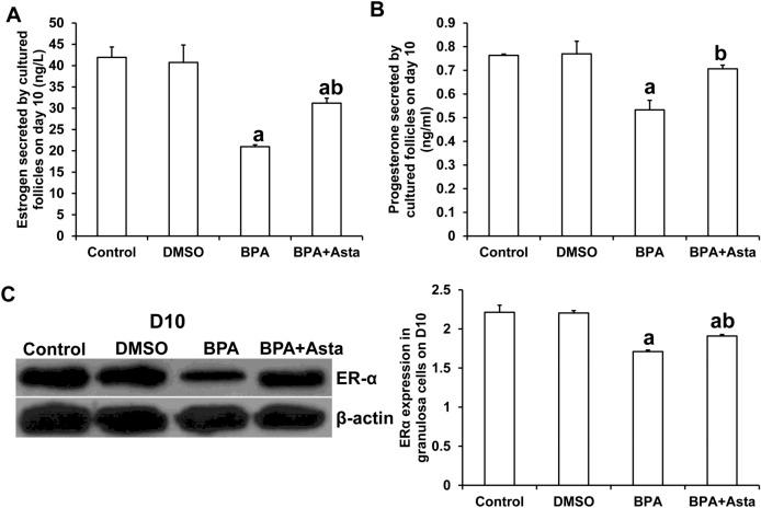 https://cdn.ncbi.nlm.nih.gov/pmc/blobs/39f9/9098901/d69c1d4ea1a9/41598_2022_11566_Fig4_HTML.jpg
