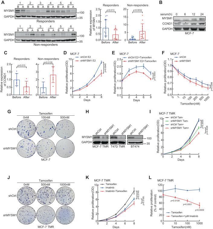 https://cdn.ncbi.nlm.nih.gov/pmc/blobs/39fa/10883278/4d97edfc20b3/44321_2023_3_Fig6_HTML.jpg