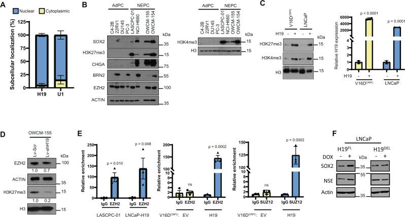 https://cdn.ncbi.nlm.nih.gov/pmc/blobs/39fa/8692330/2097dbeb9949/41467_2021_26901_Fig6_HTML.jpg