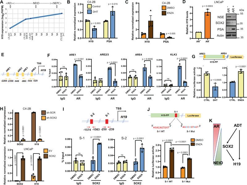 https://cdn.ncbi.nlm.nih.gov/pmc/blobs/39fa/8692330/848f82834fe4/41467_2021_26901_Fig5_HTML.jpg