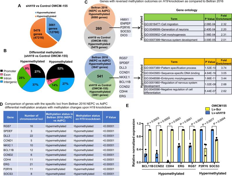 https://cdn.ncbi.nlm.nih.gov/pmc/blobs/39fa/8692330/92786cb222bd/41467_2021_26901_Fig8_HTML.jpg