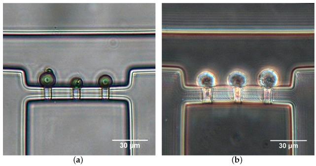 https://cdn.ncbi.nlm.nih.gov/pmc/blobs/39fc/6413237/42434a03cbe0/micromachines-10-00131-g007.jpg