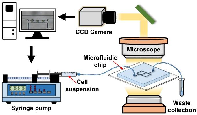 https://cdn.ncbi.nlm.nih.gov/pmc/blobs/39fc/6413237/bbceb567741a/micromachines-10-00131-g002.jpg