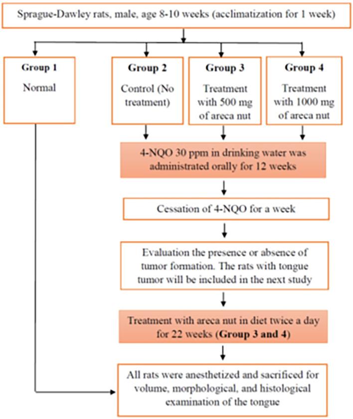 https://cdn.ncbi.nlm.nih.gov/pmc/blobs/39fd/12187084/10cefbb9ba2f/f1000research-11-183223-g0000.jpg