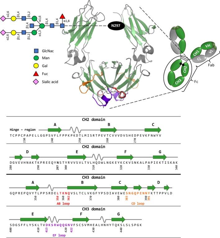 https://cdn.ncbi.nlm.nih.gov/pmc/blobs/39fe/4755133/436b18e67653/IMR-270-113-g001.jpg