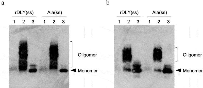 https://cdn.ncbi.nlm.nih.gov/pmc/blobs/39fe/9351568/5c65a76b5516/ZJOM_A_2105013_F0006_B.jpg
